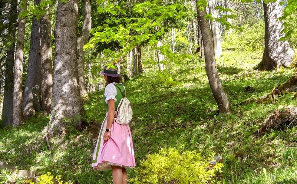 Grundlwald Ferienwohnungen, eingebettet in kühlen schattigen Wäldern